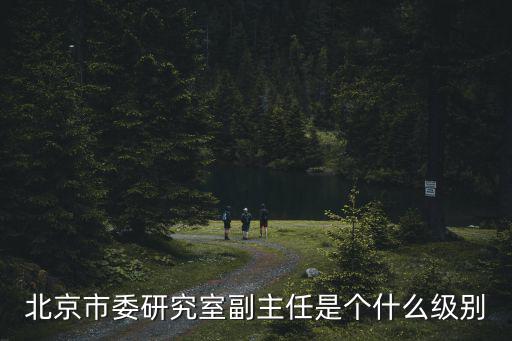 北京市委研究室副主任是個什么級別