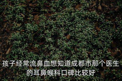 孩子經常流鼻血想知道成都市那個醫生的耳鼻喉科口碑比較好