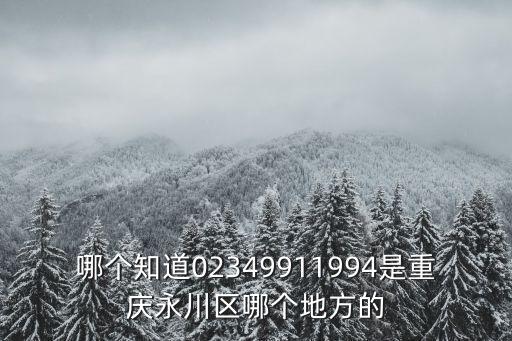 哪個知道02349911994是重慶永川區哪個地方的
