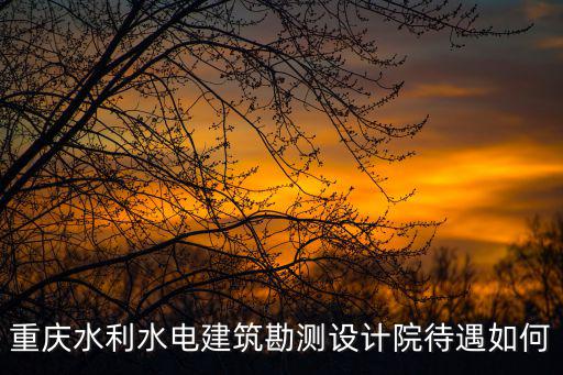 重慶市水利勘察，重慶市渝西水利電力建筑勘測設計院怎么樣