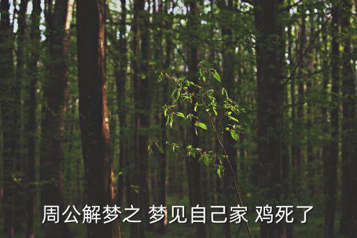 夢見雞死了,旅行者夢見死雞建議安然無恙