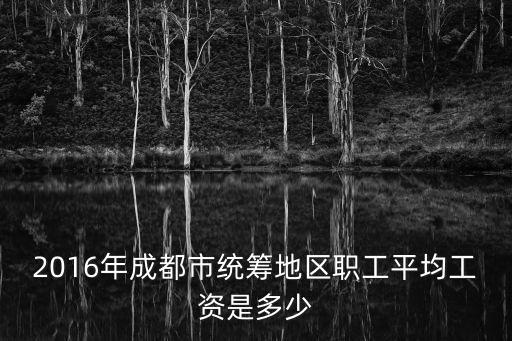 2016年成都市市平均工資，成都平均工資
