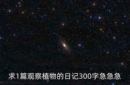 求1篇觀察植物的日記300字急急急