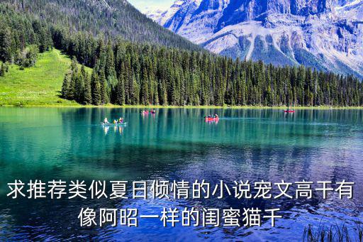 求推薦類似夏日傾情的小說寵文高干有像阿昭一樣的閨蜜貓千