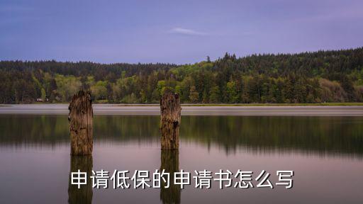 怎么寫低保申請書，低保申請怎么寫