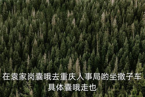 在袁家崗囊哦去重慶人事局喲坐撒子車具體囊哦走也