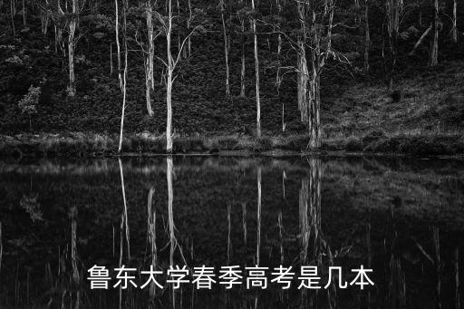魯東大學春季高考是幾本