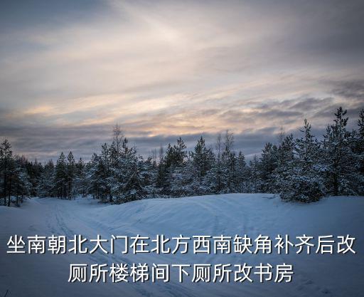 坐南朝北大門在北方西南缺角補齊后改廁所樓梯間下廁所改書房