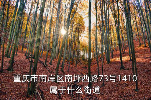 重慶市南岸區南坪西路73號1410屬于什么街道