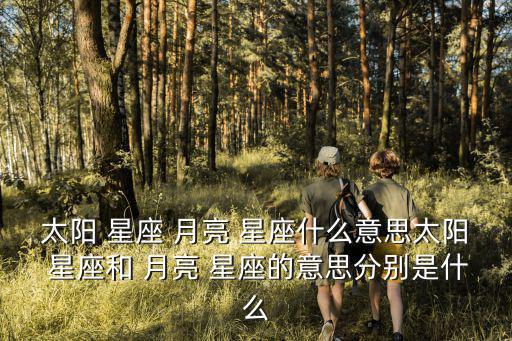太陽(yáng) 星座 月亮 星座什么意思太陽(yáng) 星座和 月亮 星座的意思分別是什么