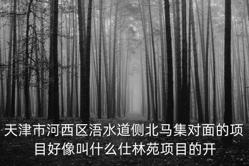 天津市河西區浯水道側北馬集對面的項目好像叫什么仕林苑項目的開