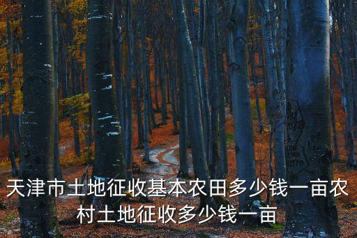 天津市農(nóng)村耕地蓋房標(biāo)準(zhǔn)，1我家在農(nóng)村我現(xiàn)在想在村里蓋房請(qǐng)問(wèn)需要哪些條件才能申請(qǐng)蓋