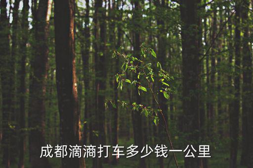 成都市打的起步價(jià)多少錢，成都的士要多少錢
