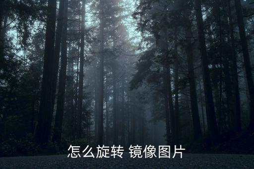 圖片怎么鏡像翻轉,如何獲取圖片鏡像翻轉?