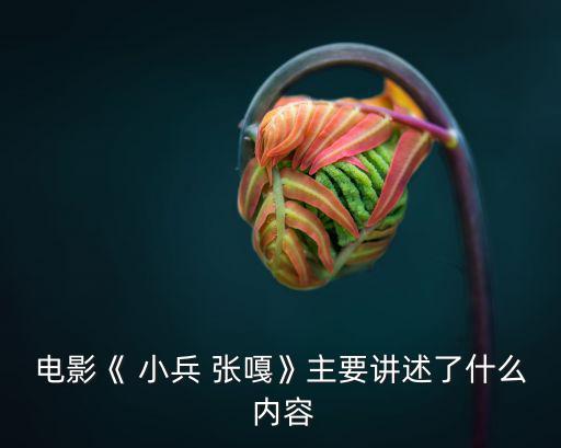 電影《 小兵 張嘎》主要講述了什么 內容