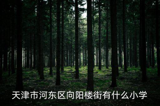 天津市河東區向陽樓街道，天津河東區向陽樓街道能不能開無業證明