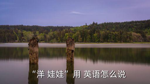 “洋 娃娃”用 英語(yǔ)怎么說(shuō)