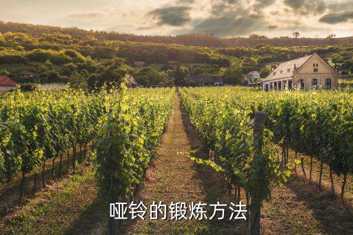 啞鈴訓(xùn)練方法,基本功訓(xùn)練法則
