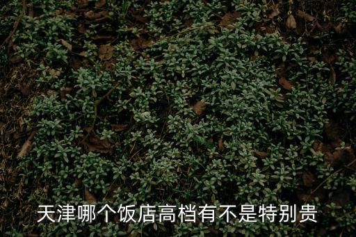 天津哪個飯店高檔有不是特別貴