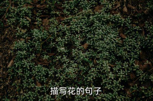 描寫花的句子