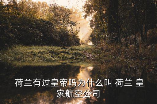 荷蘭皇家,荷蘭皇家航空公司成立于1919年10月