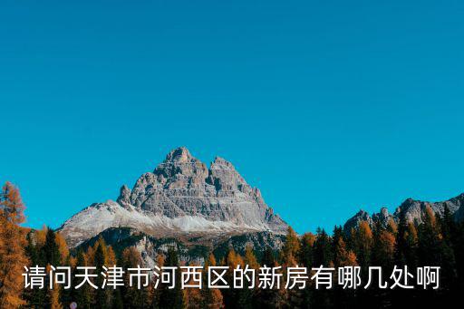 天津市河西區最新樓房，請問天津市河西區的新房有哪幾處啊