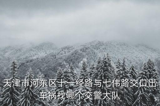 天津市河東區十一經路與七偉路交口出車禍找哪個交警大隊