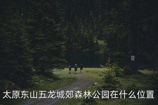 天津市東山區五龍城郊森林公園，太原東山五龍城郊森林公園在什么位置
