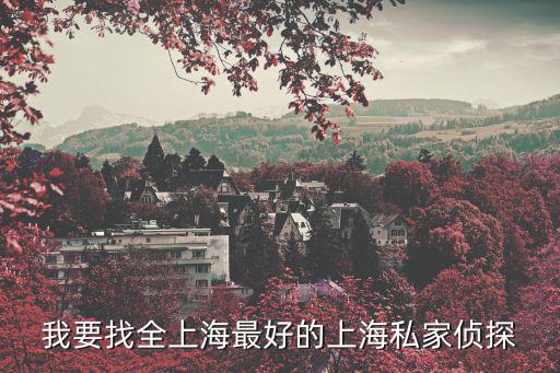 我要找全上海最好的上海私家偵探