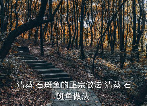 清蒸石斑,這盤石斑魚怎么做?