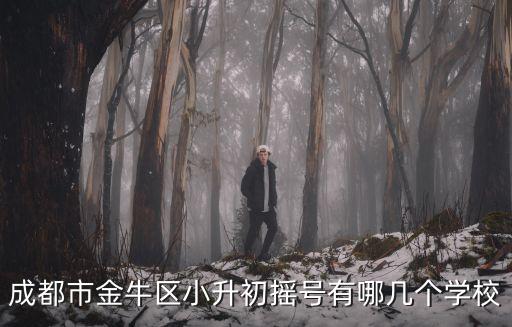 成都市金牛區(qū)小升初搖號有哪幾個學(xué)校