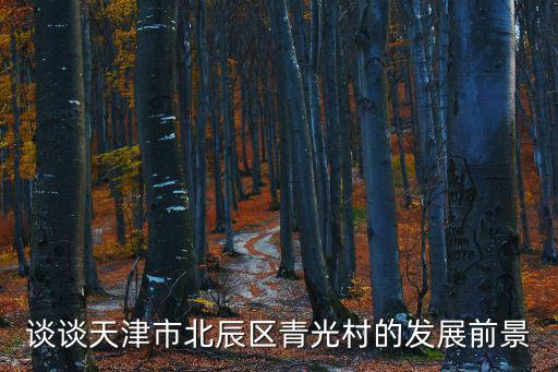 天津市北辰區青光鎮楊嘴村書記，天津市北辰區青光鎮青光村是屬于外環外還是外環內