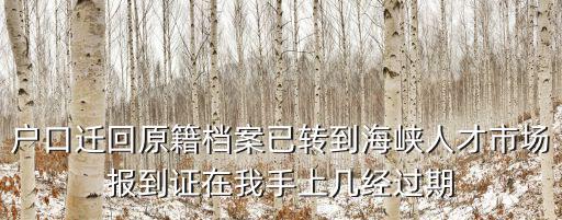 成都市教育局黎炳晨，教壇拾珠是誰寫的