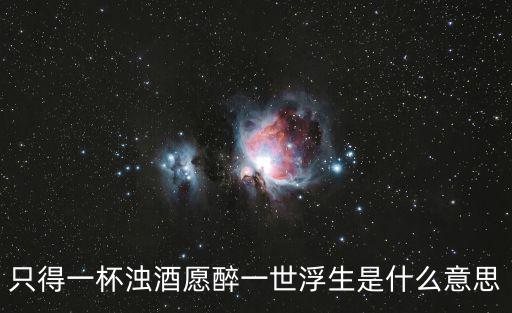 只得一杯濁酒愿醉一世浮生是什么意思