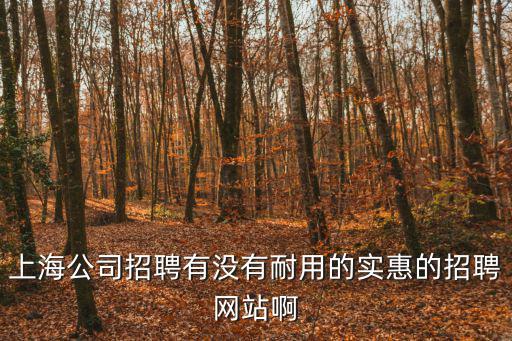 上海公司招聘有沒有耐用的實惠的招聘網站啊