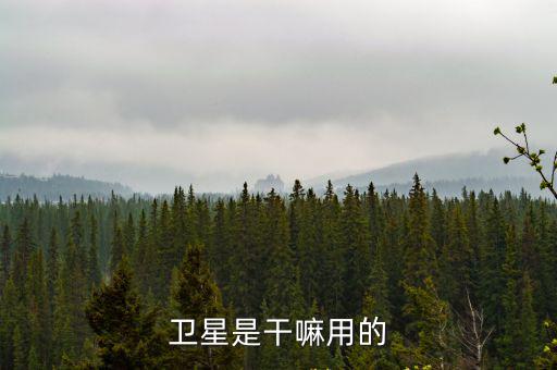 衛星是干嘛用的