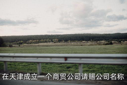 在天津成立一個商貿(mào)公司請賜公司名稱