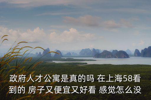 政府人才公寓是真的嗎 在上海58看到的 房子又便宜又好看 感覺怎么沒