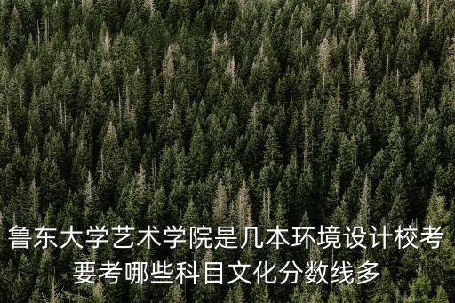 魯東大學藝術學院是幾本環境設計校考要考哪些科目文化分數線多