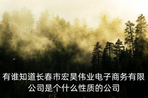 有誰知道長春市宏昊偉業電子商務有限公司是個什么性質的公司