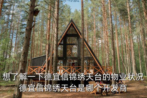 想了解一下德宜信錦繡天臺的物業狀況德宜信錦繡天臺是哪個開發商