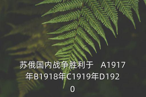 蘇俄國內(nèi)戰(zhàn)爭勝利于   A1917年B1918年C1919年D1920
