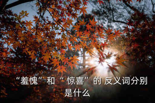 驚喜的反義詞,逆境中的好運與你有何差別?