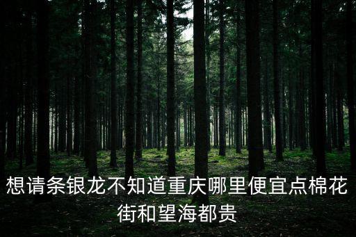 想請條銀龍不知道重慶哪里便宜點棉花街和望海都貴