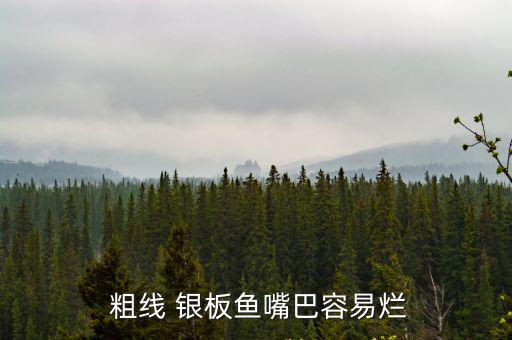  粗線 銀板魚嘴巴容易爛