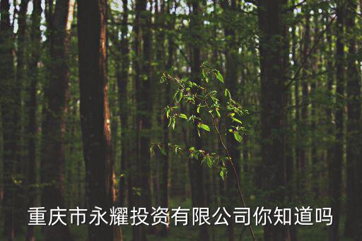 重慶市永耀投資有限公司你知道嗎