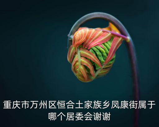 重慶市萬州區恒合土家族鄉鳳康街屬于哪個居委會謝謝