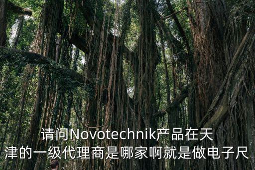 請問Novotechnik產(chǎn)品在天津的一級代理商是哪家啊就是做電子尺