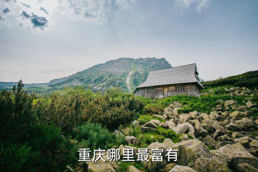 重慶哪里最富有