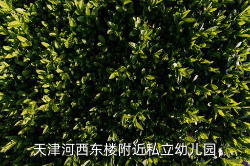 天津河西東樓附近私立幼兒園